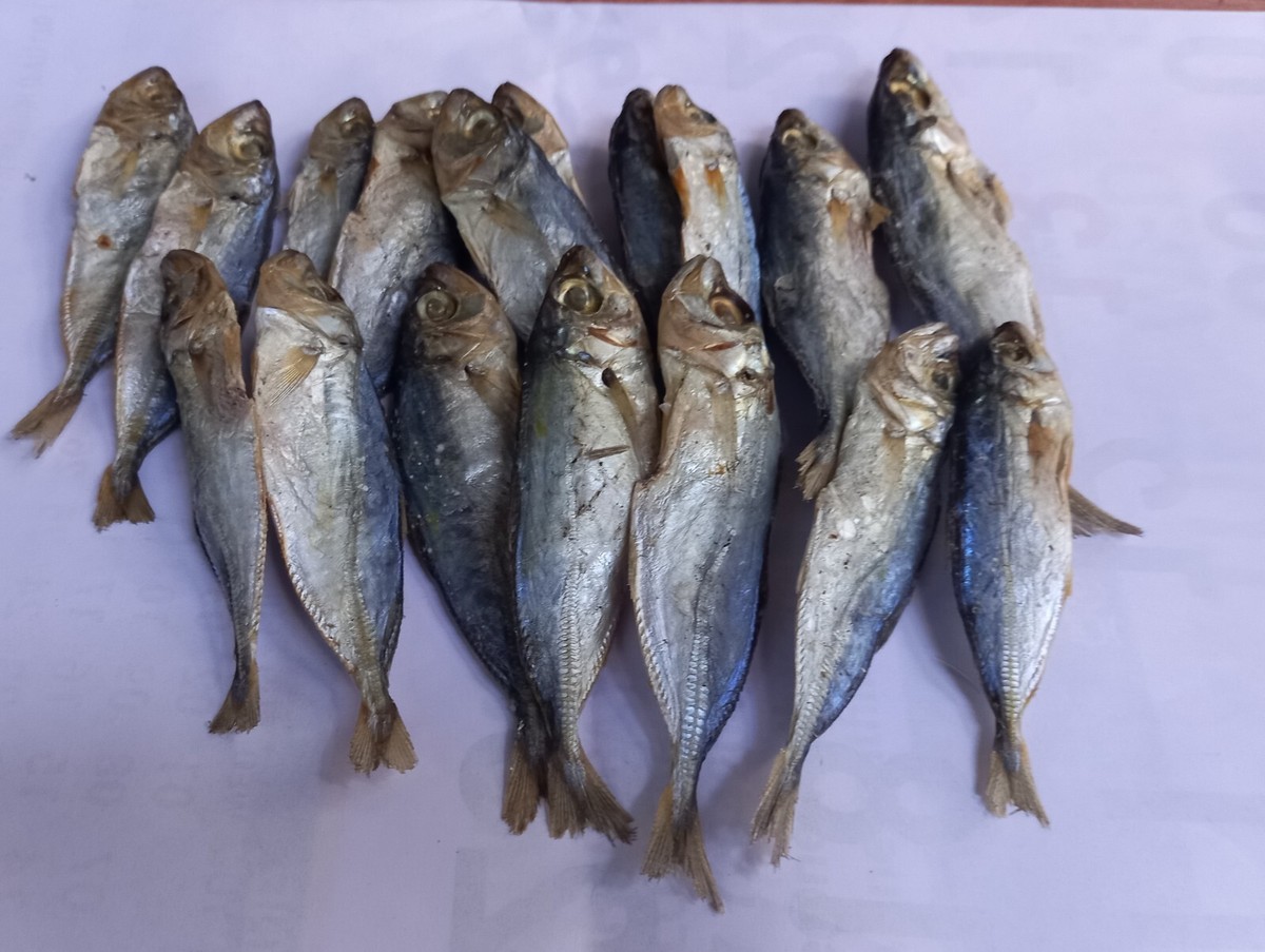 4 loại cá làm tăng nguy cơ mắc ung thư nếu lạm dụng: Thích tới mấy cũng phải hạn chế- Ảnh 2.